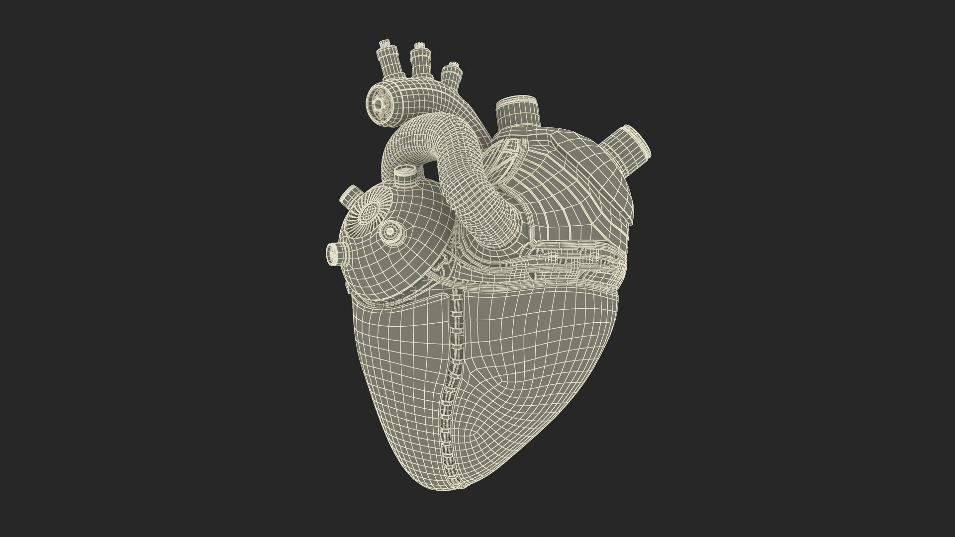 Bionic Robot Heart model https://p.turbosquid.com/ts-thumb/zi/O0sWq6/pq/bionicrobotheart3dsmodel026/jpg/1709252307/1920x1080/fit_q87/3ca055b72c03e3390da8a5754ba4b90219079286/bionicrobotheart3dsmodel026.jpg