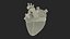 Bionic Robot Heart