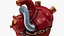 Bionic Robot Heart