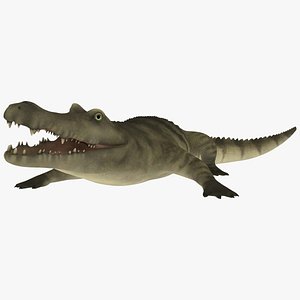 Crocodile ANIMATED 3D model