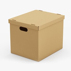 3D model Cardboard Box