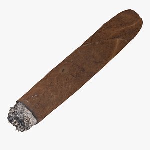 3D model Cigar Short Burned 02 RAW Scan