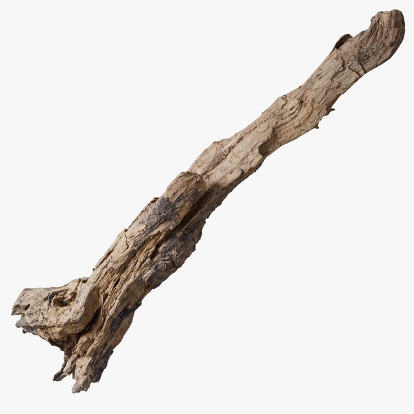 Grapevine Bark 3D Scanned 07 3D