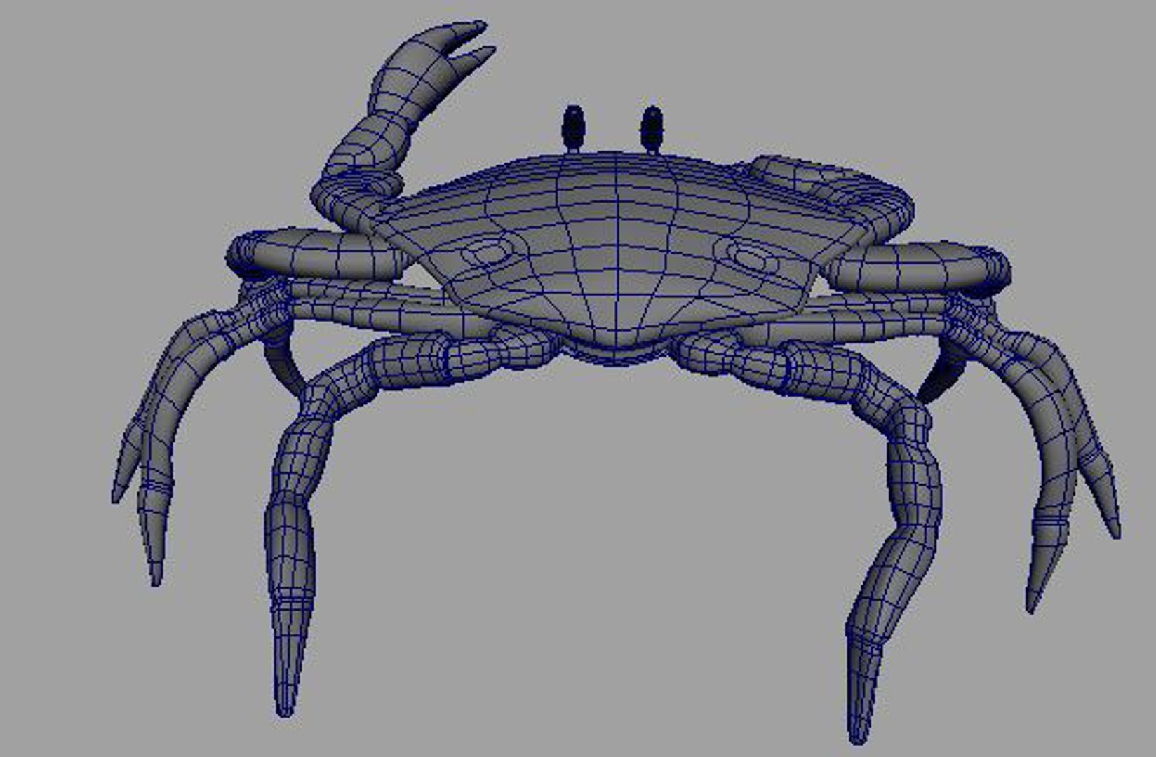 3d crab shell