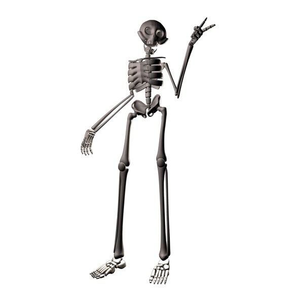 cartoon skeleton skelly rig 3d model