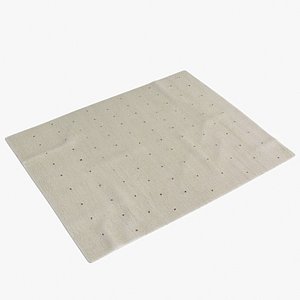 3D Feather Dot Rug model