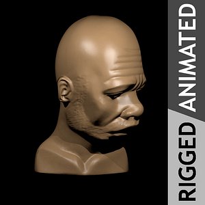 rigged african male animation 3d obj