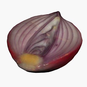 Half Onion 3D Scan High Quality 3D model