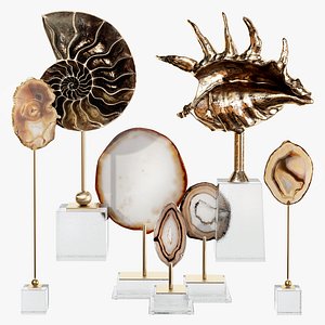 Sea shell decorative set 02 3D model