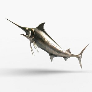 Fish on the wall