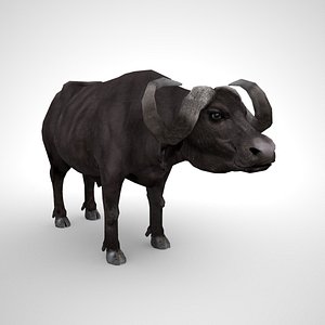 Buffalo-Bull Low Poly