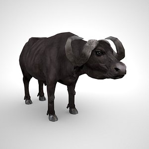Buffalo-Bull Low Poly