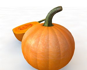 pumpkin 3D model