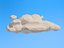 Lowpoly clouds Mega Pack model