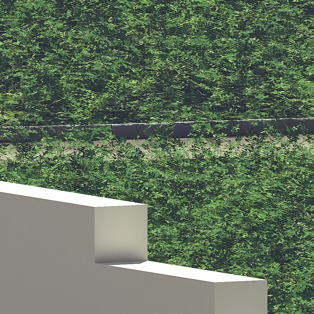 tomato plants model https://p.turbosquid.com/ts-thumb/zj/Pi36nx/IqDA5TzX/8/jpg/1598680935/1920x1080/fit_q87/1c85ea6bdcf1e958369f8923005214627158dc26/8.jpg