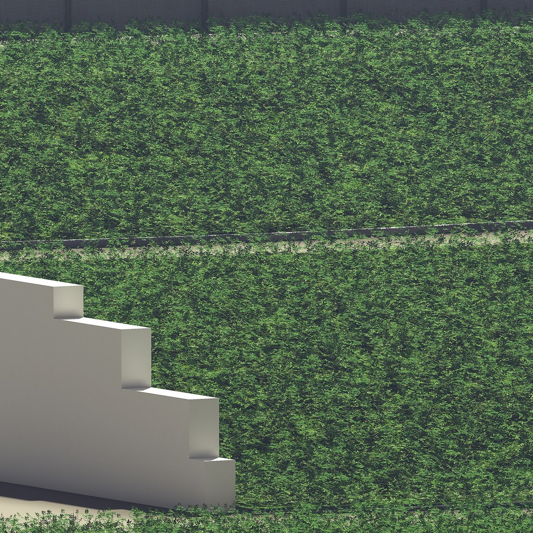 tomato plants model https://p.turbosquid.com/ts-thumb/zj/Pi36nx/Jao1r8pT/6/jpg/1598680840/1920x1080/fit_q87/18f34d6b2eb35f9b839d421a9958fac22aa3ff4f/6.jpg