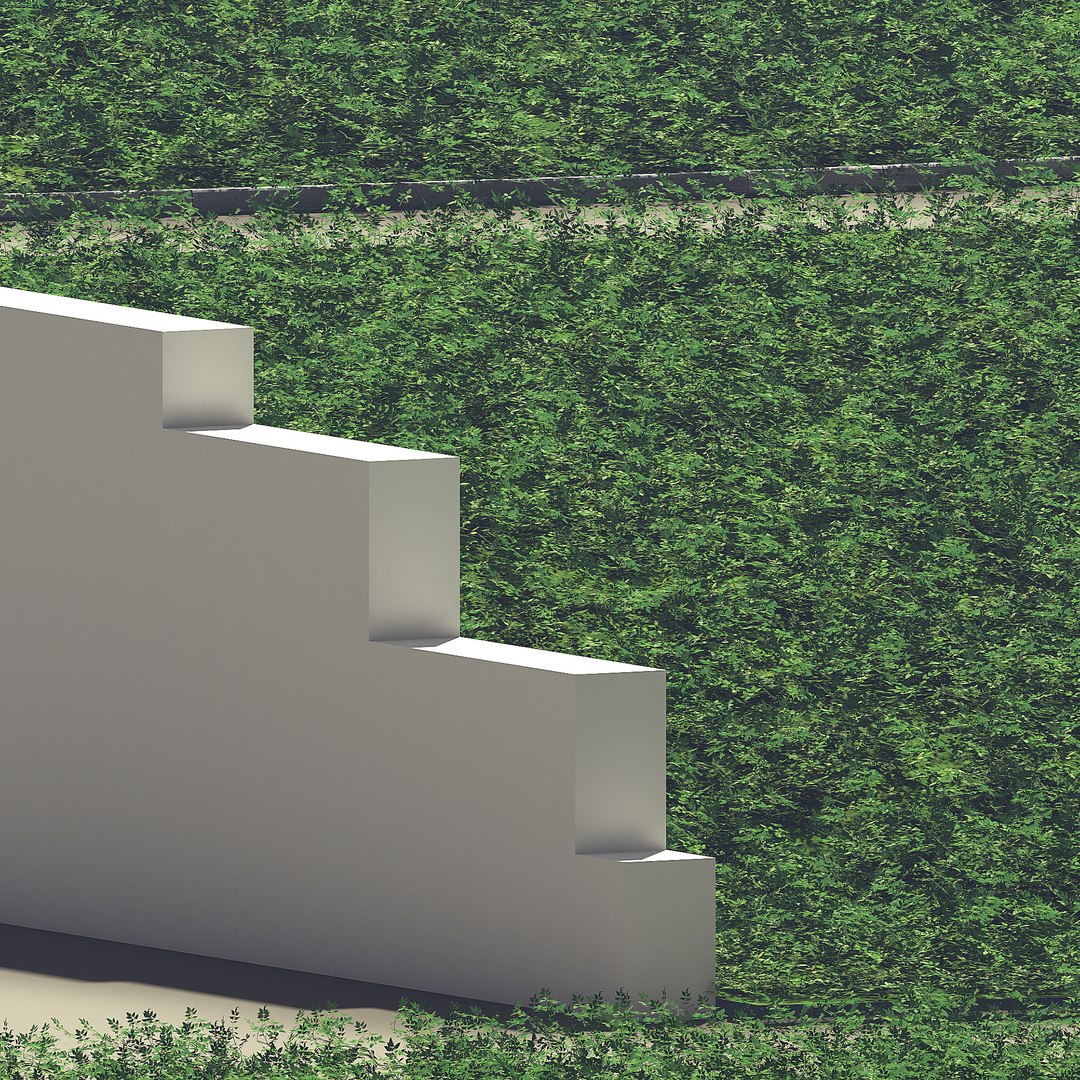 tomato plants model https://p.turbosquid.com/ts-thumb/zj/Pi36nx/ywu1JVtU/7/jpg/1598680894/1920x1080/fit_q87/6df69155b9cd84b266dbb7de67fd167fc6fd5893/7.jpg