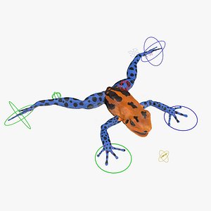 poison dart frog orange 3d model