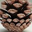 fir cone v2 3ds