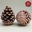 fir cone v2 3ds