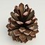 fir cone v2 3ds