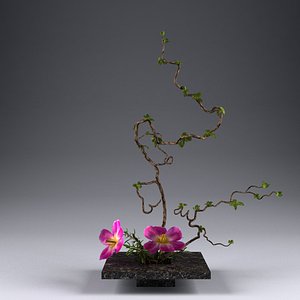 max ikebana flower