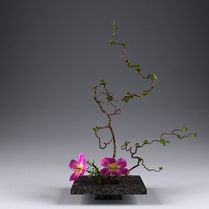 Ikebana 004
