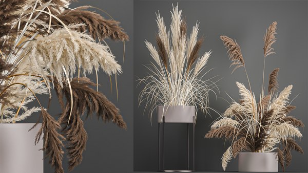 modèle 3D de Herbe de la pampa dans un pot de fleurs pour l'intérieur 1061  - TurboSquid 1810777