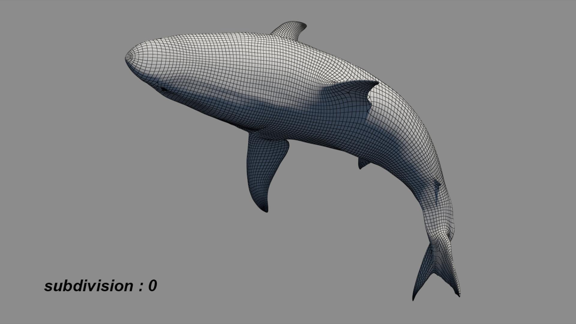 3D Shark Rigged 3D https://p.turbosquid.com/ts-thumb/zj/tVH6SR/3Z/16/jpg/1753671637/1920x1080/fit_q87/bfcfb1a640b770a324a49b73e18503089a10706a/16.jpg