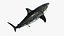Shark Rigged 3D