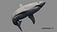 Shark Rigged 3D