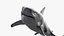 Shark Rigged 3D