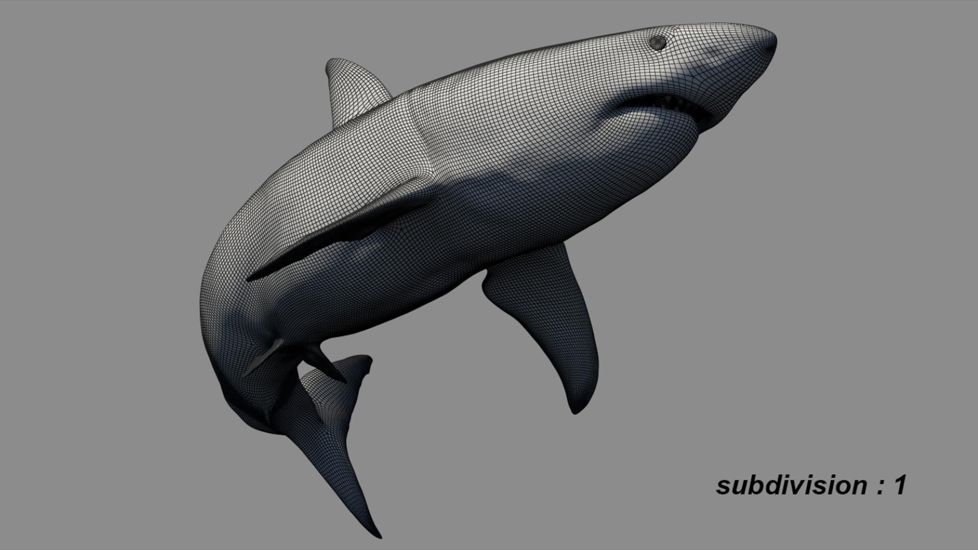 3D Shark Rigged 3D https://p.turbosquid.com/ts-thumb/zj/tVH6SR/8C/15/jpg/1753671635/1920x1080/fit_q87/648e78bade7ff60453c21bf6f64cfdb6ec10cca0/15.jpg