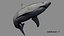 Shark Rigged 3D