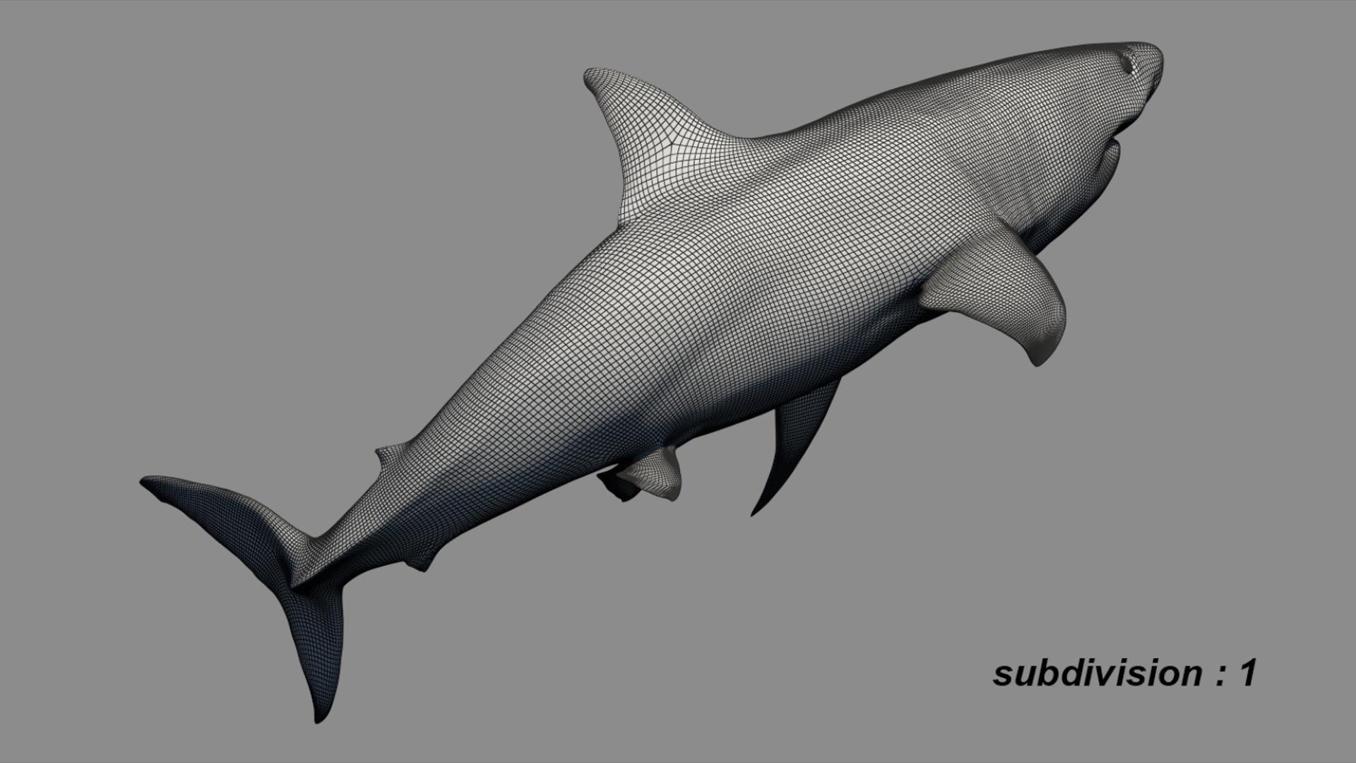 3D Shark Rigged 3D https://p.turbosquid.com/ts-thumb/zj/tVH6SR/FH/19/jpg/1753671644/1920x1080/fit_q87/7641fb0dc100356dfc031d695d998648074927e9/19.jpg
