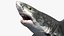Shark Rigged 3D