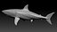 Shark Rigged 3D