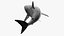 Shark Rigged 3D