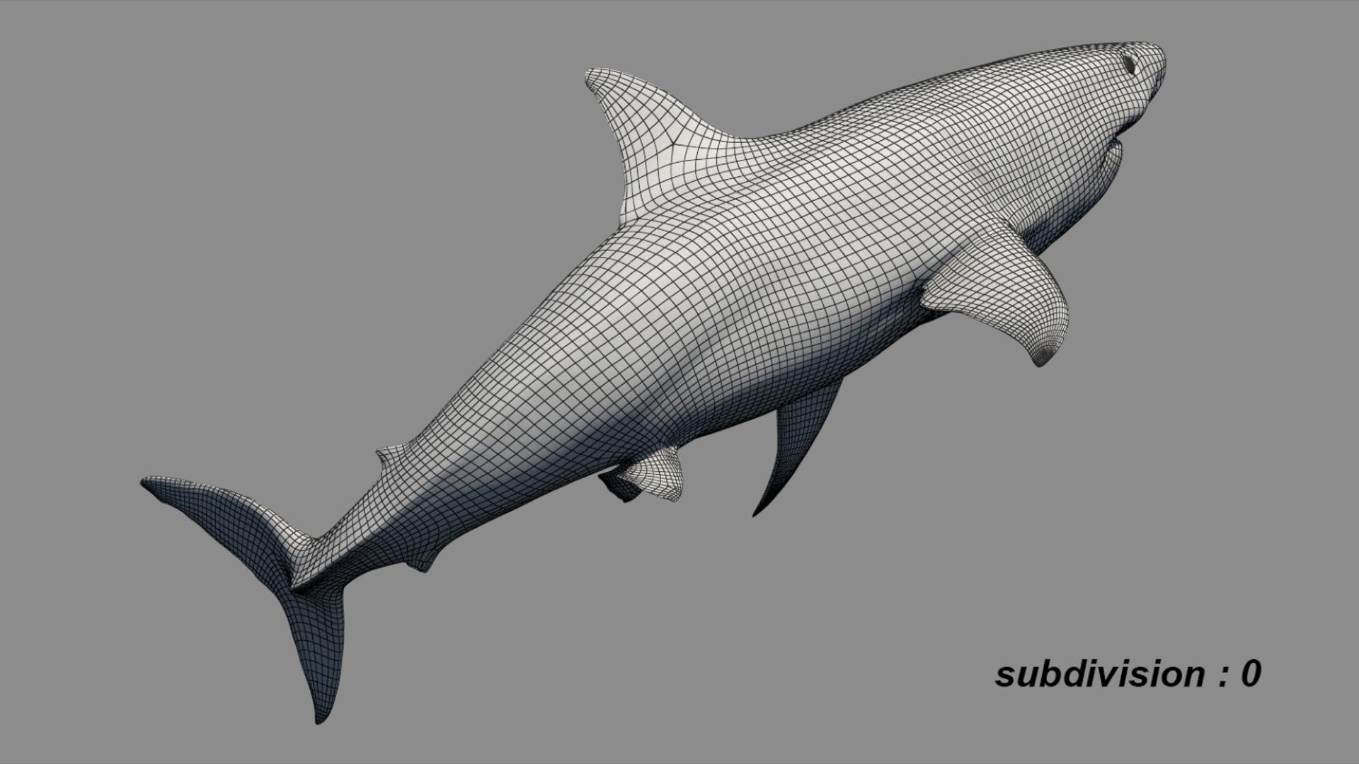 3D Shark Rigged 3D https://p.turbosquid.com/ts-thumb/zj/tVH6SR/Uj/18/jpg/1753671641/1920x1080/fit_q87/69c85f8b20b05b226c9d1924c03d74995808a424/18.jpg