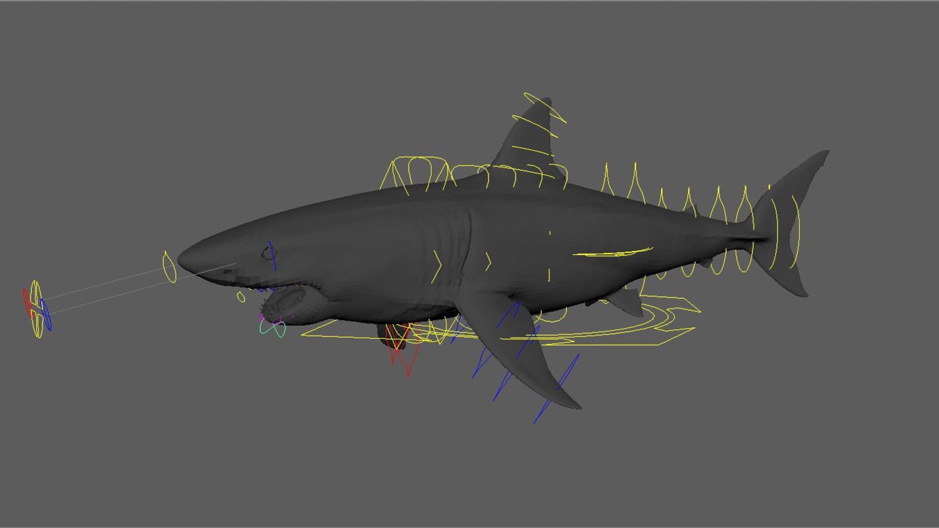 3D Shark Rigged 3D https://p.turbosquid.com/ts-thumb/zj/tVH6SR/fF/21/jpg/1753671648/1920x1080/fit_q87/499fae1e01651d69832377f147b239a8fec38889/21.jpg