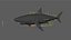 Shark Rigged 3D