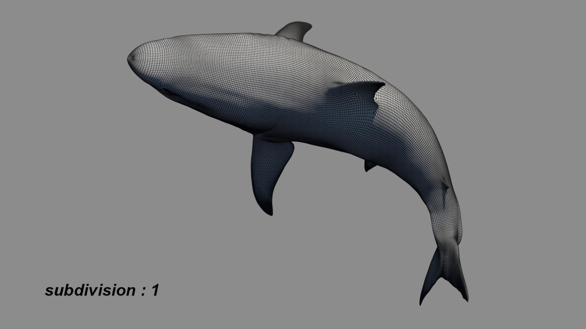 3D Shark Rigged 3D https://p.turbosquid.com/ts-thumb/zj/tVH6SR/fT/17/jpg/1753671639/1920x1080/fit_q87/521809d77b2af6d44097b83170733f604e4289a2/17.jpg