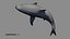 Shark Rigged 3D