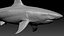 Shark Rigged 3D
