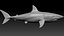 Shark Rigged 3D