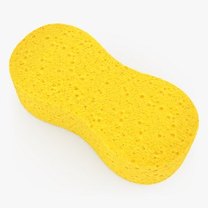3D Car Wash Sponge model