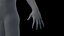 Australopithecus Afarensis Female