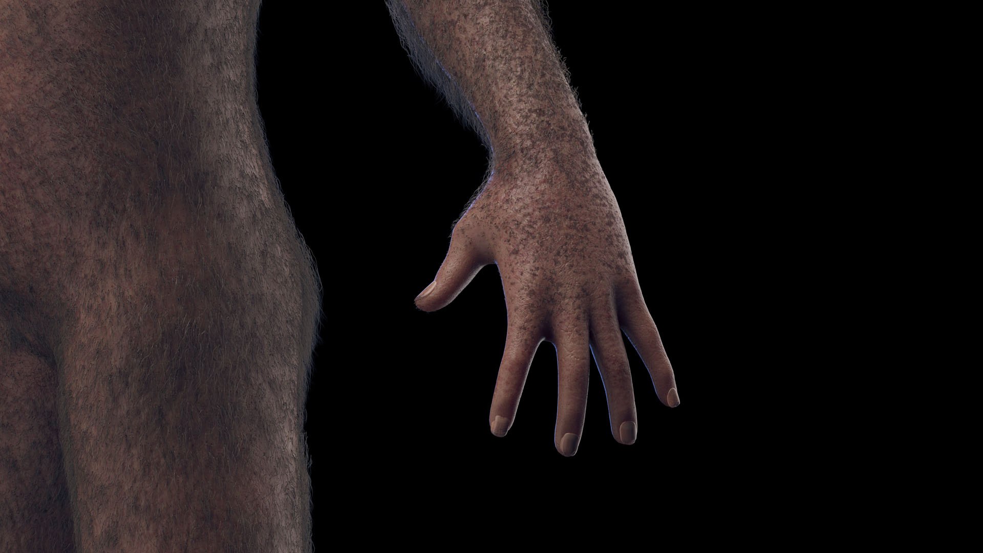 3D Australopithecus Afarensis Female https://p.turbosquid.com/ts-thumb/zj/wGUeVY/SH/australopithecus_afarensis_female0007/jpg/1689779867/1920x1080/fit_q87/8c36430e3ef43d15d8a6581c61eb0591f83658d1/australopithecus_afarensis_female0007.jpg