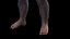 Australopithecus Afarensis Female