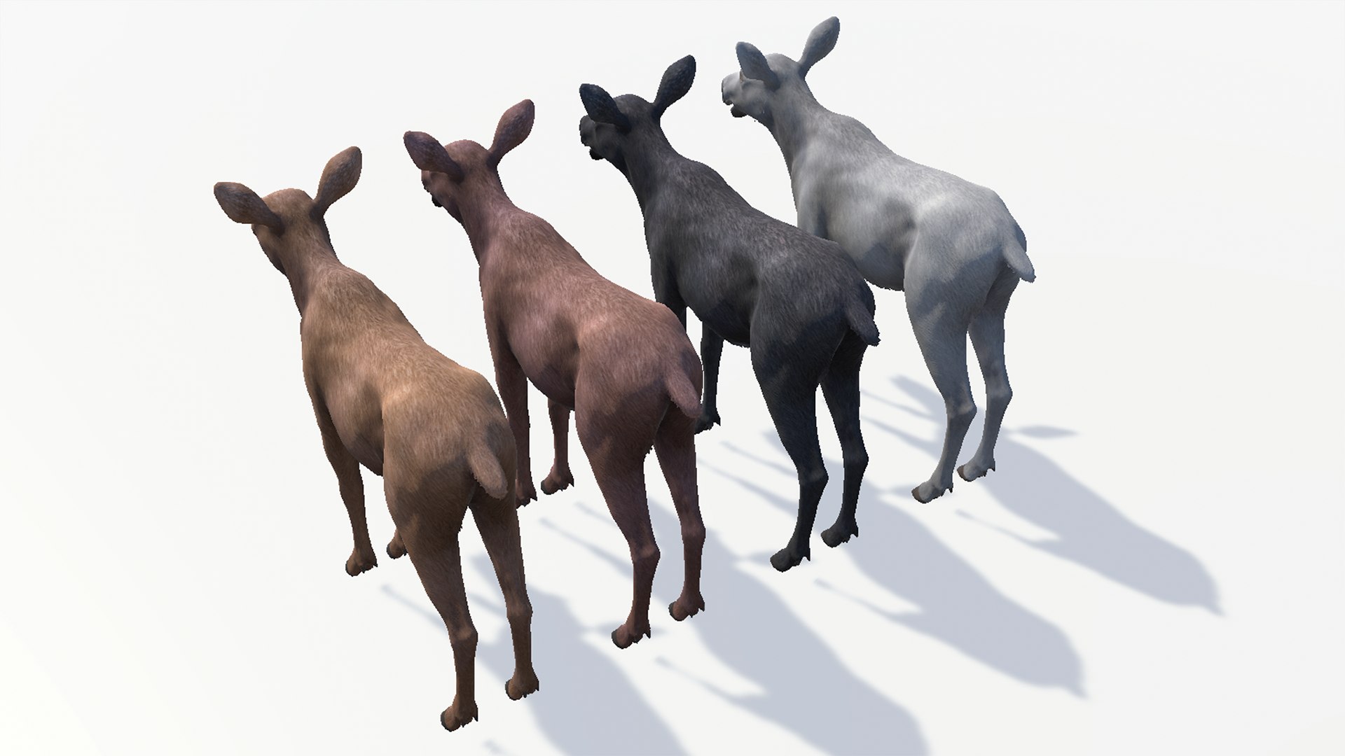 Moose Family 3D model https://p.turbosquid.com/ts-thumb/zk/2bGJFy/P5/rs13/png/1697623952/1920x1080/fit_q87/fc17763c337c285085357f0c541846132b7ab179/rs13.jpg
